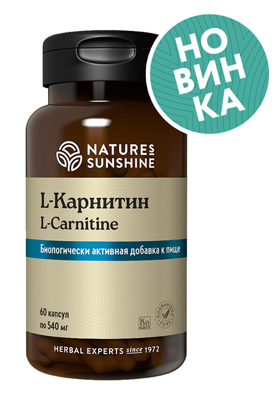 l carnitine natures sunshine L-Carnitine 1000 mg Buy Sunshine Nutrition L-Carnitine 1500mg